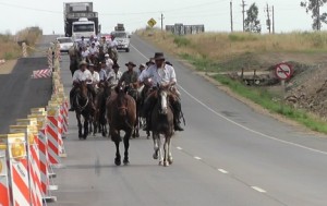 cebolla-rodriguez-2